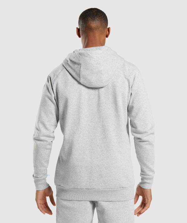 Panske Mikiny S Kapucňou Gymshark Crest Zip Up Svetlo Siva | OQ5892043